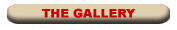 THE GALLERY